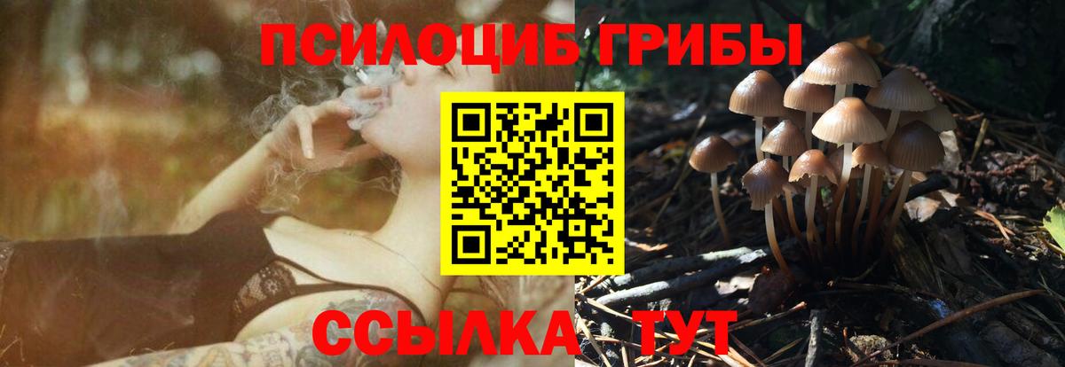 Галлюциногенные грибы Magic Shrooms  Вход с VPN  Феодосия  Псилоцибиновые грибы Psilocybe 